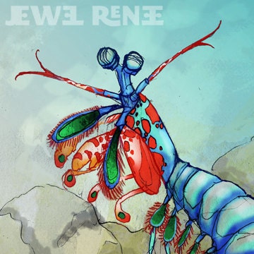 Peacock Mantis Shrimp- 11x14" Aquatic Art Print, Watercolor Inspired, Blue Green Vermillion Tan