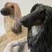 vintage AFGHAN HOUND dog statue by Sandicast, you choose which color you want, Black or Blonde, chippy charmers