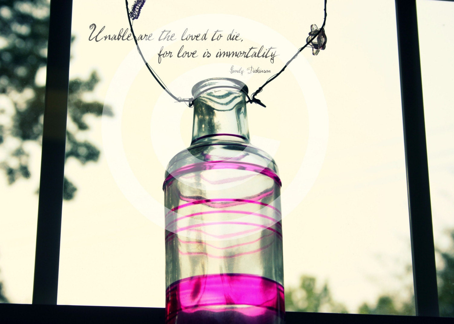 Love Is Immortality 4x6 photo