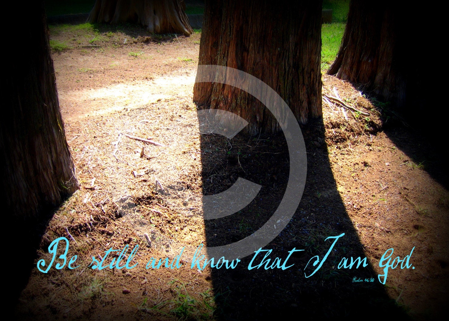 Be Still 4x6 photo