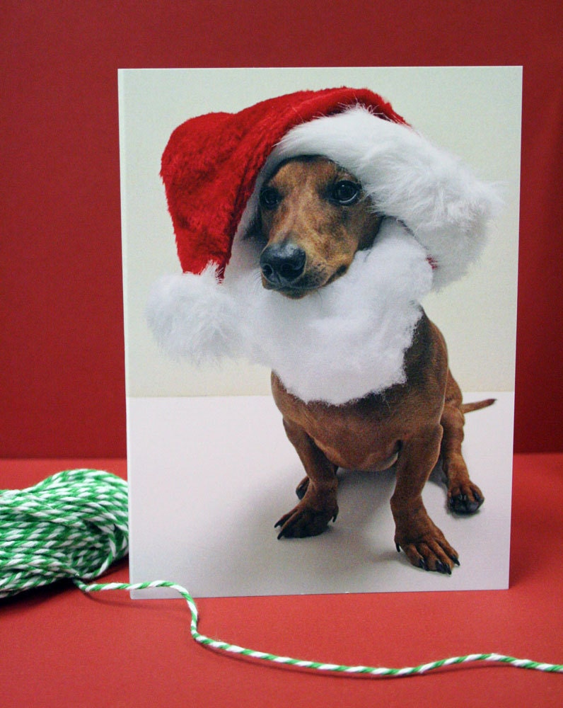 SALE Dachshund Santa Boxed Christmas Cards