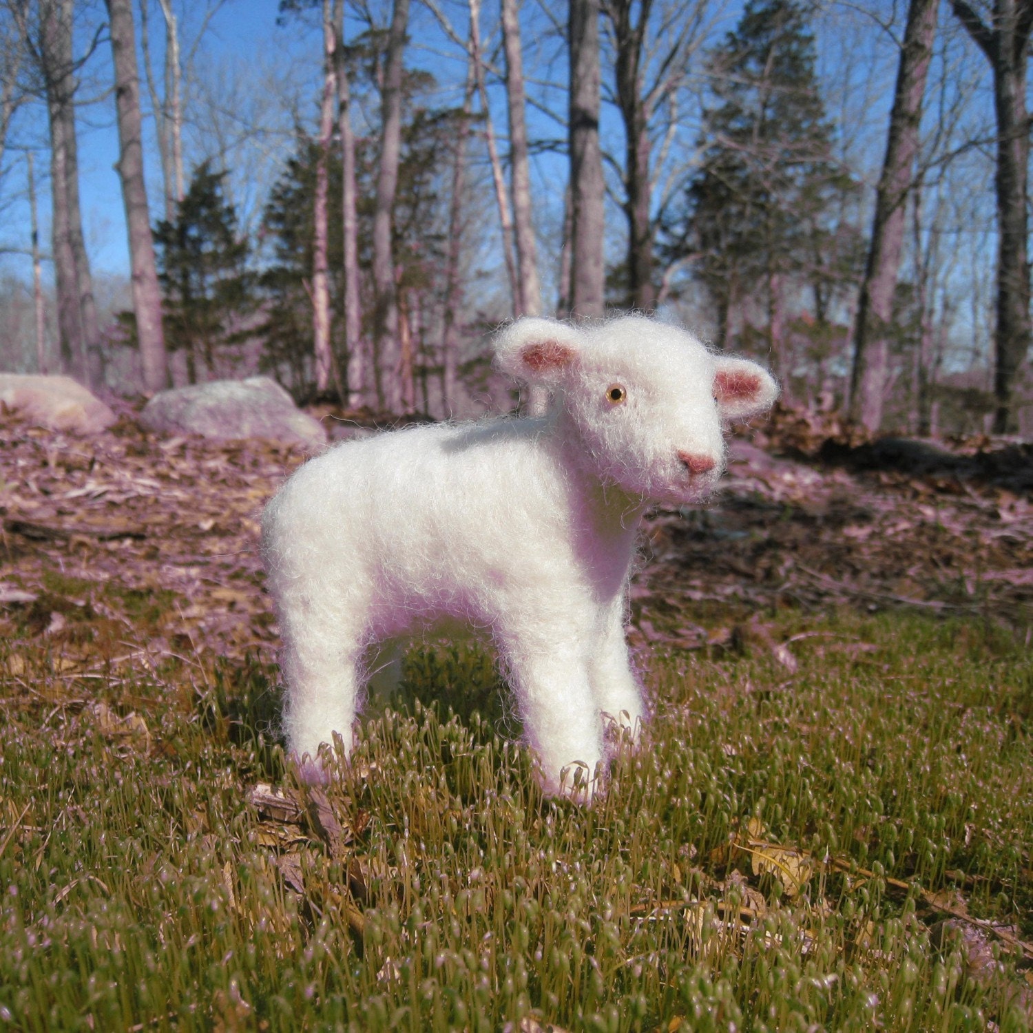 Little lamb, needle felted animal