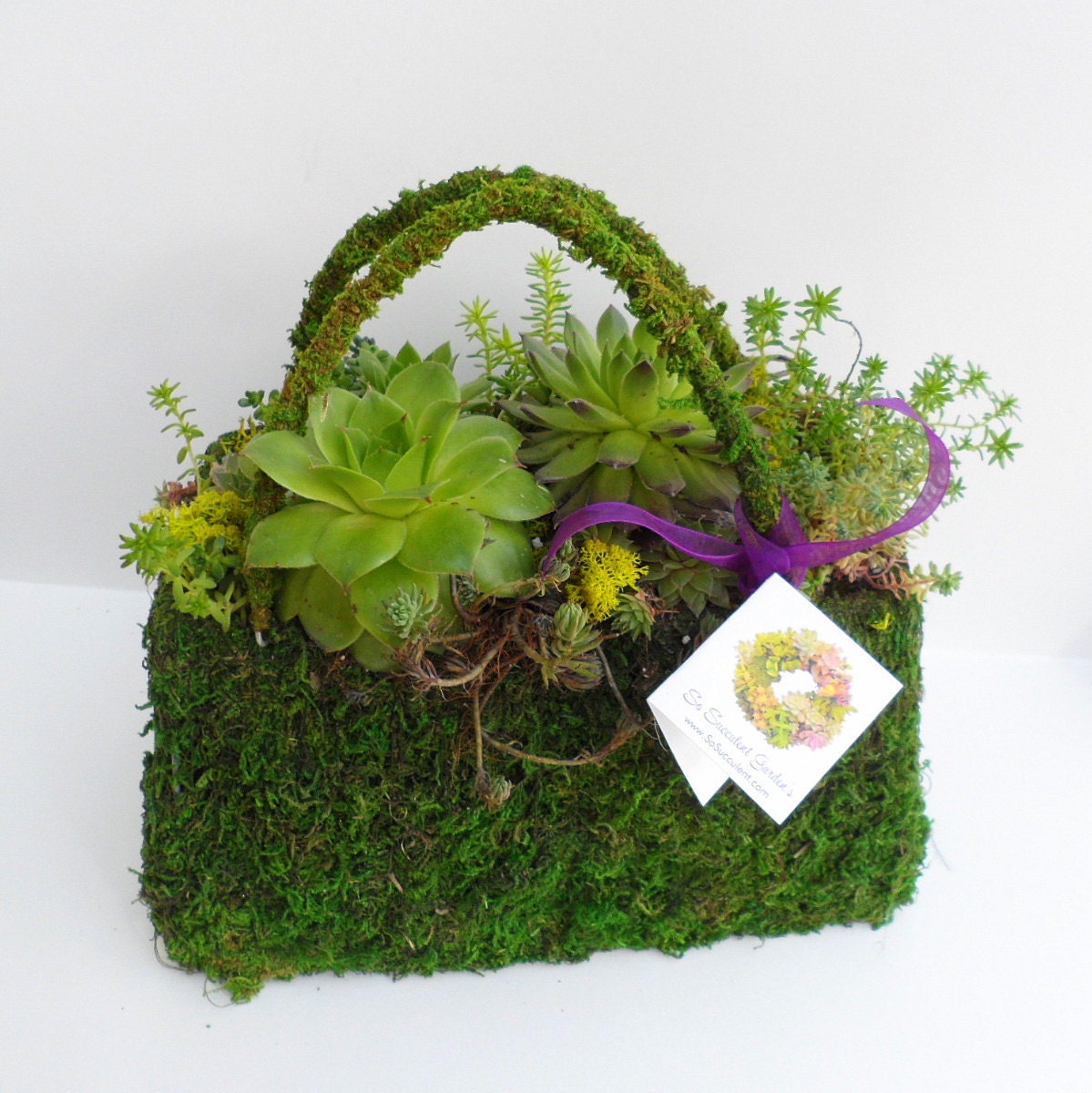 Succulent Stuffed Purse - Centerpiece for Showers, garden party, red hat society