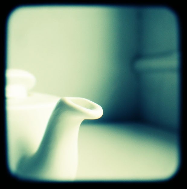 Spout