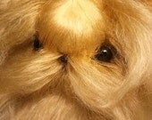 Stunning Yorkie Mohair 6" Handsewn by Bear Artist Barbara Butler
