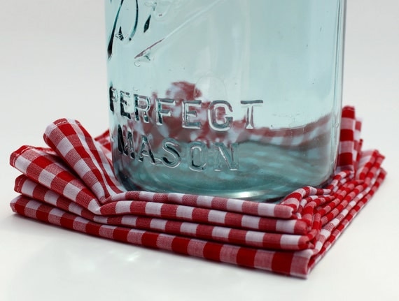 4 Cloth Picnic Napkins - Red Gingham