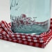 4 Cloth Picnic Napkins - Red Gingham
