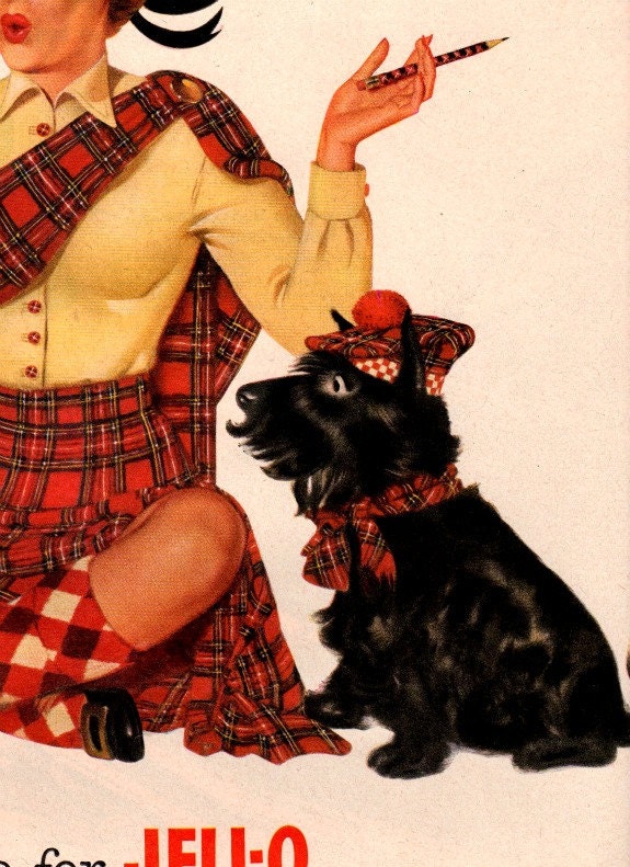 vintage pinup scottish dog 1952 advertisement jello