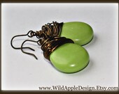 Mint Green Turquoise Shiny Smooth Teardrop Wire Wrapped Earrings (4606)