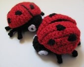 CROCHET PATTERN Amigurumi Ladybug