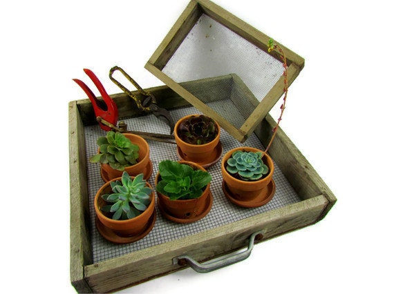 Rustic garden trays vintage wood and wire sifters