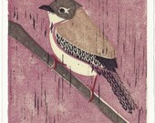 HOUSE WREN pink linocut reproduction block illustration art print