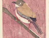 HOUSE WREN loose linocut block print
