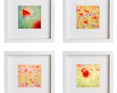 Poppy Set 8x8 (20x20cm) Decorating Ideas -  set of 4 Nature Flower Photography floral home decor