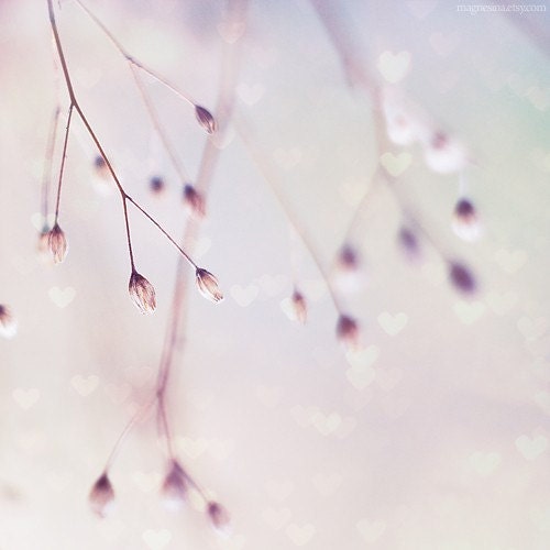 30% off  Softness 8x8 (20x20cm) Fine Art Nature Photography - shabby chic home decor. subtle. adorable. for her. wedding gift