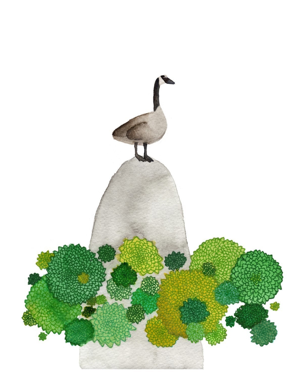 The Canada Goose - 8x10 Watercolor Print