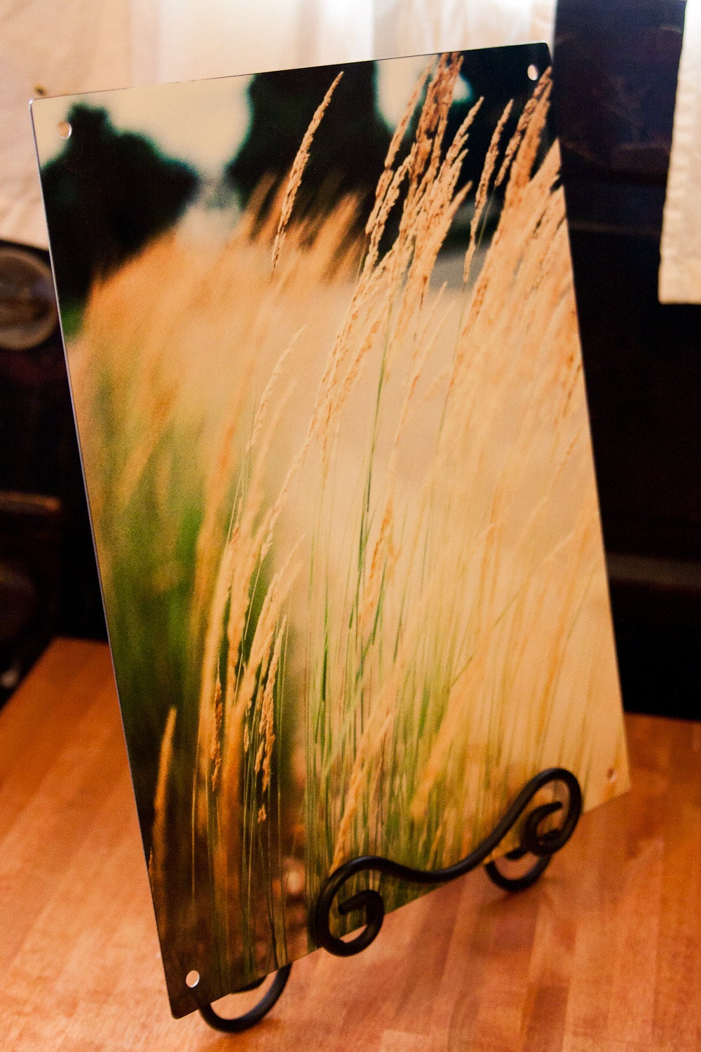 11x14 Metal Print - Grass Film Photograph