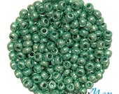 6/0 Metallic Green Seed Beads 5 Ounces approx 2400 Beads Preciosa Czech Beads