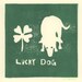 lucky dog