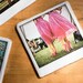 Polaroid Ceramic Coaster - Pink Fairies
