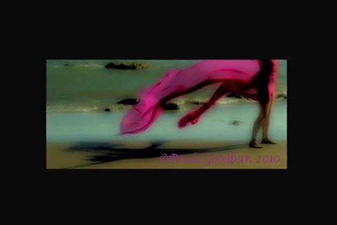 Standing Her Ground - Limited Edition 8x10 Archival Photographic Print