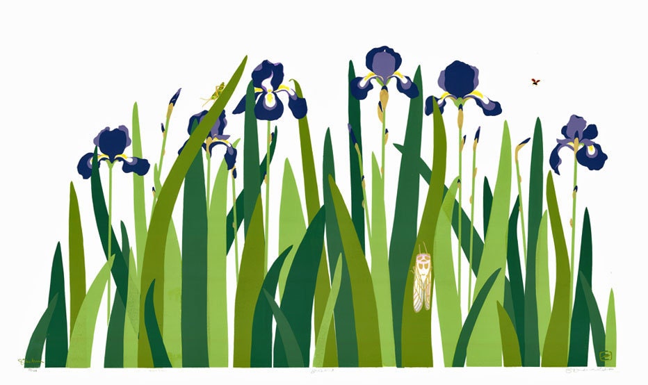 Irises - Hand Pulled Screen Print