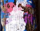 paint blue white pink brown wood texture - "Abstract Art" 8x10 photograph