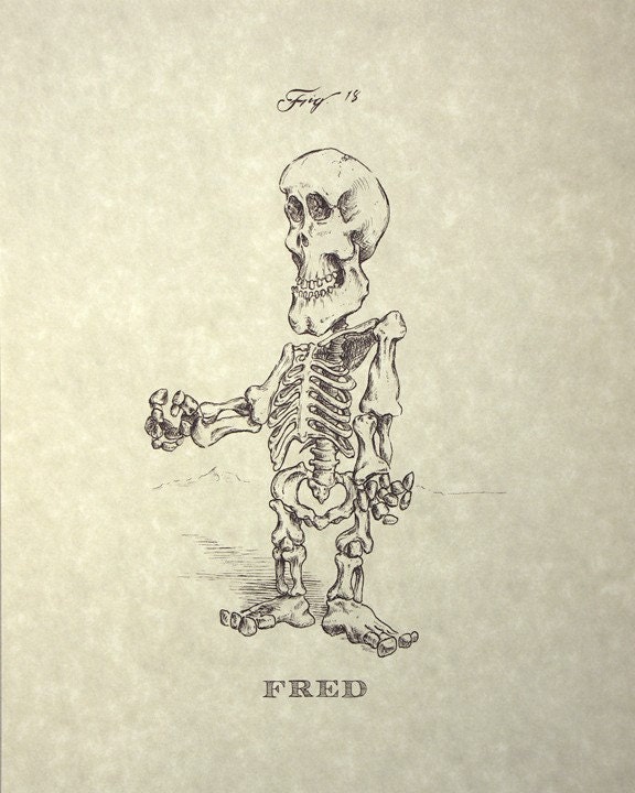 Fred Flinstone Skeleton Print 8x10