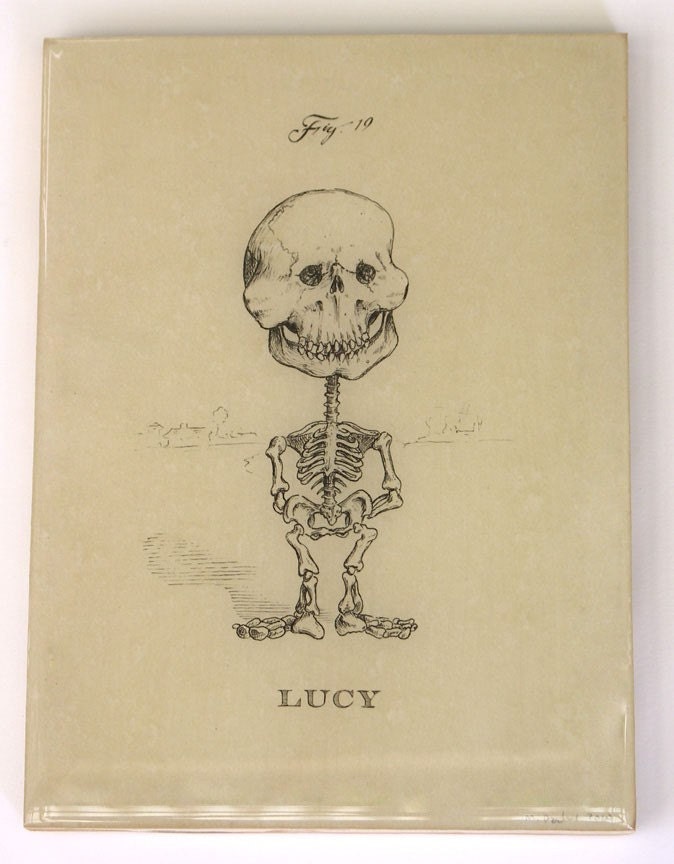 Lucy Skeleton (Panel - No Border)