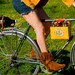 6 Pack Frame Cinch (Polo Mallet Holder)