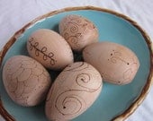Natural Wood Egg Toy - Gourmet - Spring Toy