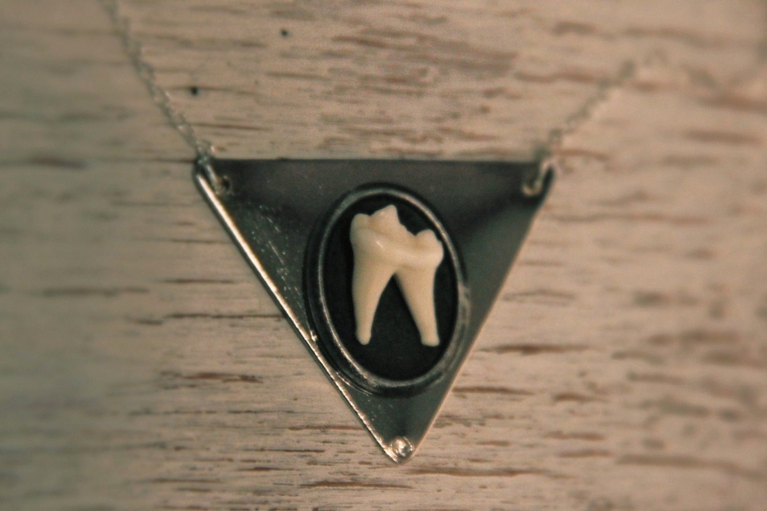 TAXIDERMY COUTURE Coyote Molar Tooth Geometric Silver Triangle Pendant on anSterling Silver chain Original Design