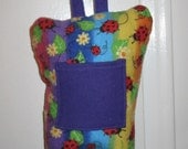 Ready To Ship--LADYBUGS and DAISIES on RAINBOW Tooth Fairy Pillow
