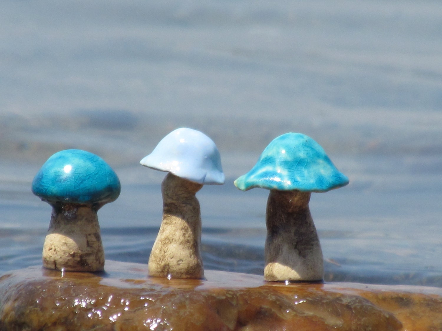 A set of ceramic mushrooms in a variety of colors, sizes and shapes  Miniatures Fall Home decoration Collections  Little mushrooms