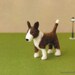 Felt Dog - Japanese Craft Book for Needle Wool Felt - Lovely dogs - Saori Yamazaki - B780