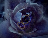 ART CARD - Sub Rosa II - 148mm x 105mm (5.83 x 4.13 in) High Quality Gloss