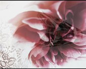 ART CARD - A Winters Still Life II - 148mm x 105mm (5.83 x 4.13 in) High Quality Gloss