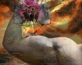 Eros Limited Edtional Archival Giclee Photgraphic Fine Art Print 29 X 19.5 cm