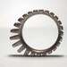 Sun Sprocket Heavy (high torque) stainless steel ring