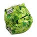 Fitted Cloth Diaper, OS, Flannel - Go Green, Save the Planet, Earth Day, Peace