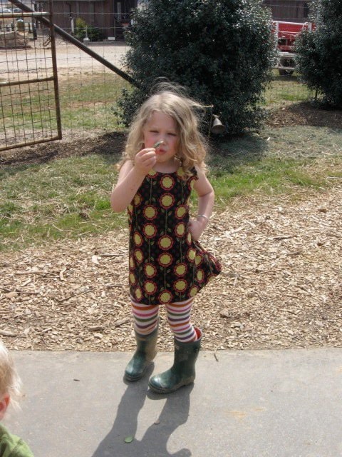 Daisy A-line Jumper