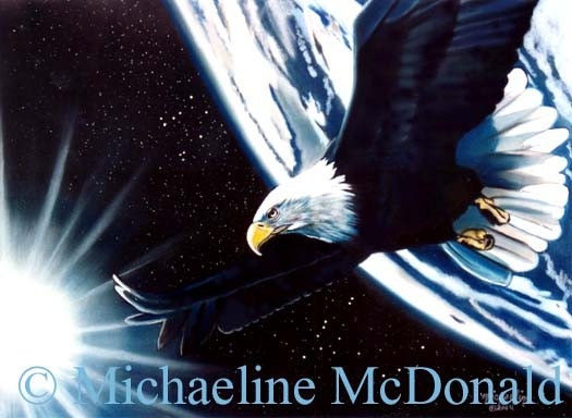 Bald Eagle fine art print by Michaeline 8x10 inches