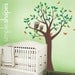 Tree with Two Owls and Butterflies Decal Set - Boy and Girl Kid's Room Wall Sticker