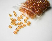 Czech Glass Seed Beads - 6/0 - 1 ounce - 30 g