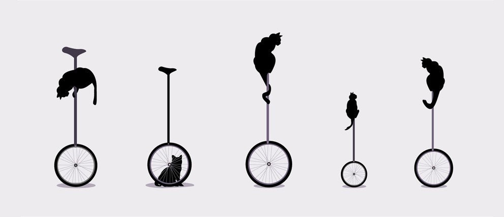 Cats 393.7x118.1in