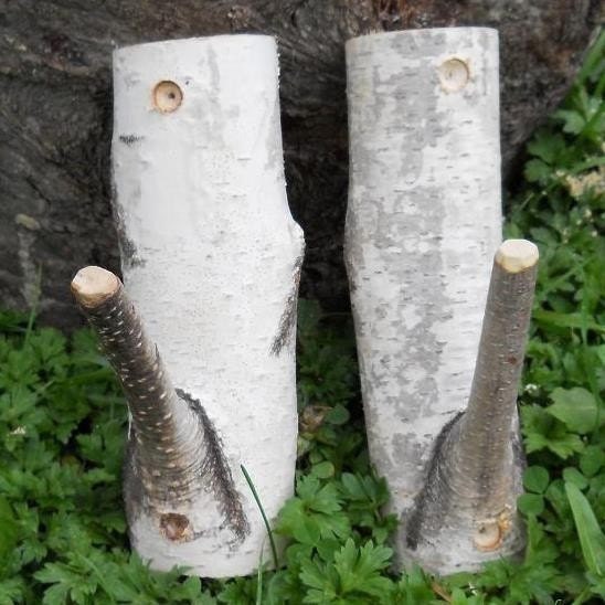 Birch Branch Rustic Hooks  Woodland Natural Decor