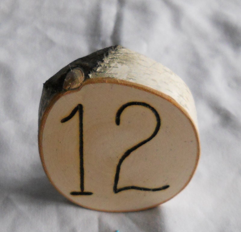 Table Numbers Rustic Wedding Birch