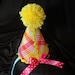 Birthday Part Hat- First Birthday Party Hat Sweet Summer Sunshine - Can be plain or embroidered with a name. Your Choice- Same Price