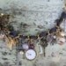 Victorian Charm Necklace Butterfly brooch old time charm necklace Spring whimsy Jewelry Paris chic French market cottager chic