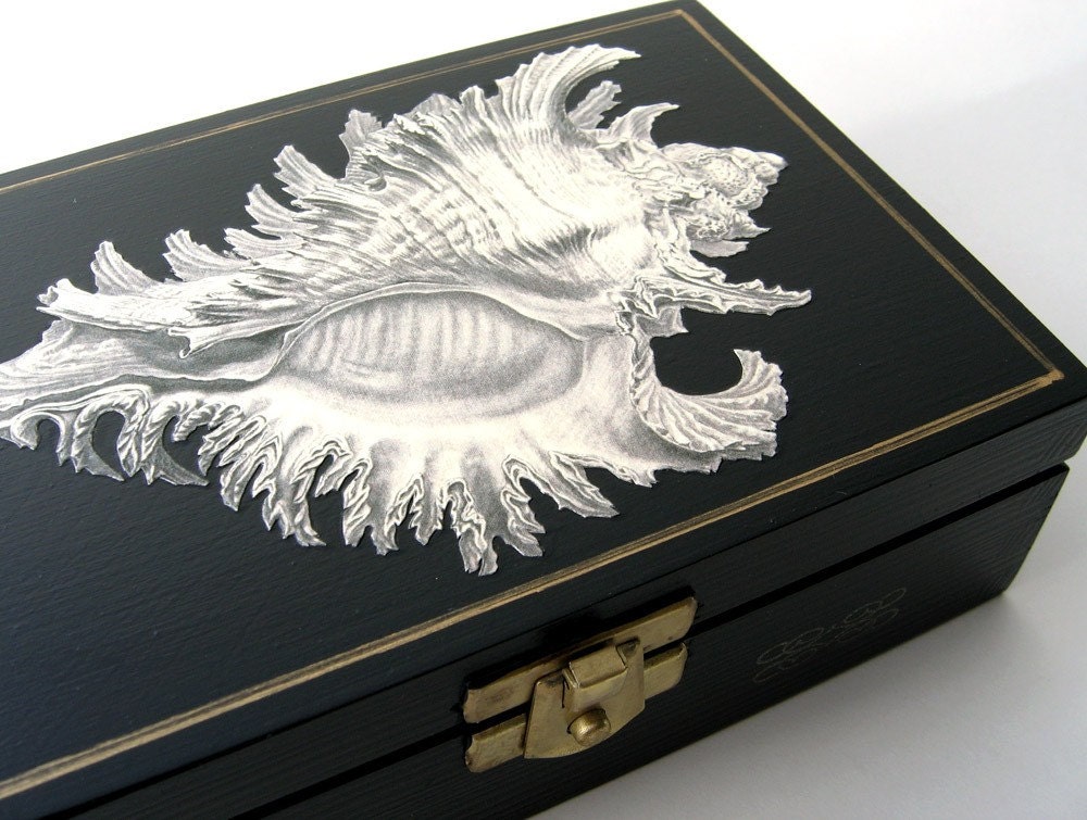 Marine Shell pine wood box, jewelry or trinket holder